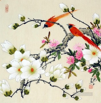 Loro de flor de pájaro chino Pinturas al óleo
